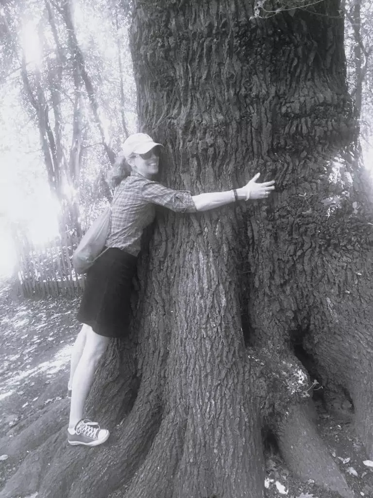 hug-tree